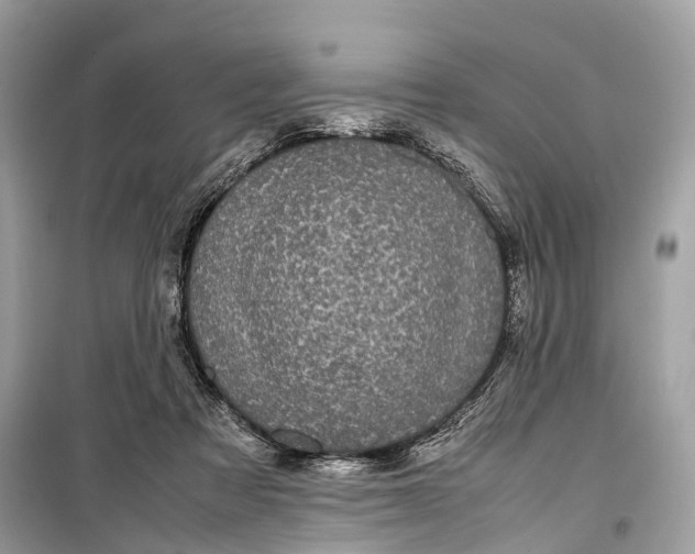 X0000099310313200805161419