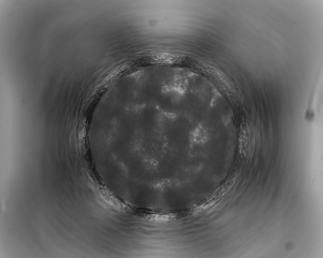 X0000099310314200805161419