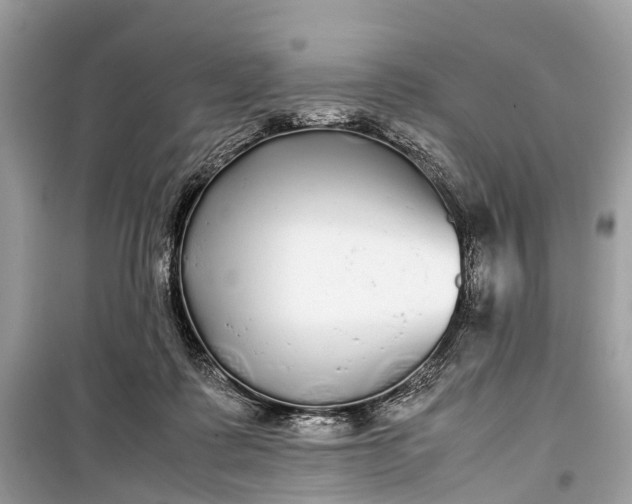 X0000099310315200805161419