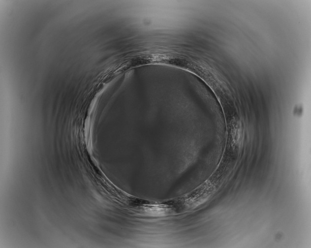 X0000099310316200805161419