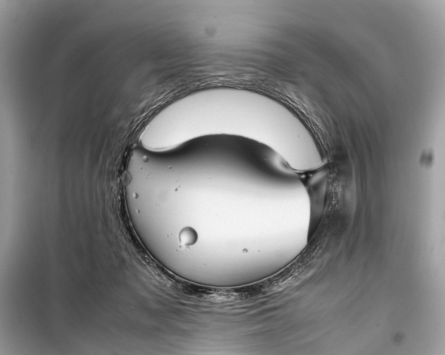 X0000099310317200805161419