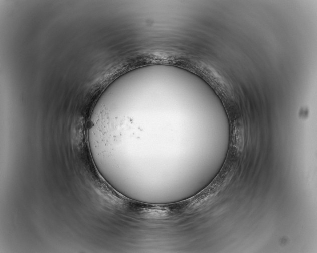 X0000099310318200805161419