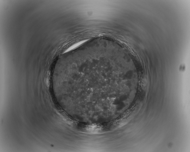 X0000099310319200805161419