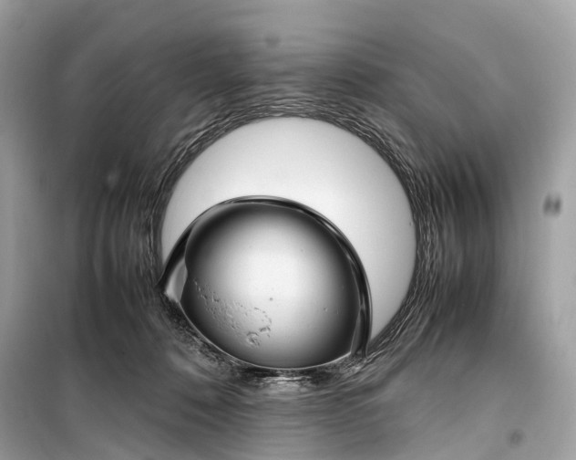 X0000099310320200805161419