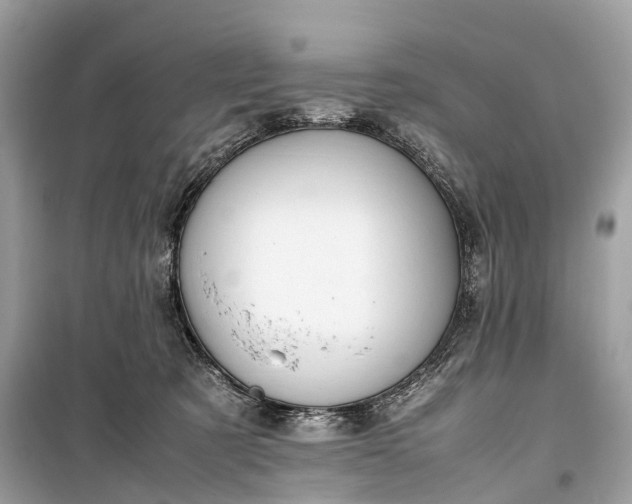 X0000099310321200805161419