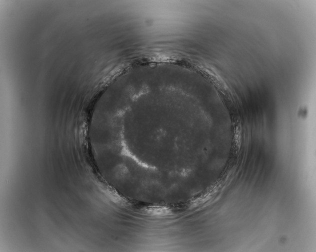 X0000099310322200805161419