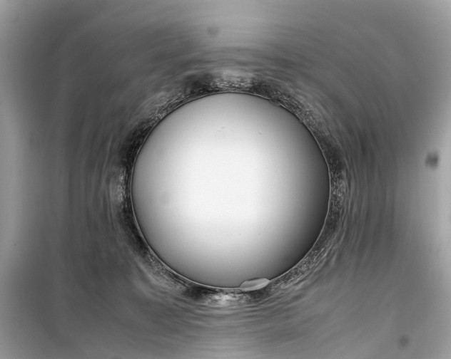 X0000099310323200805161419