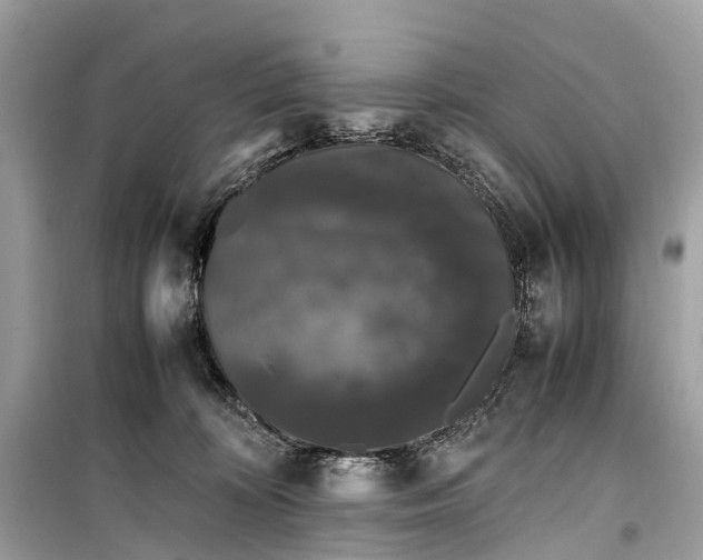 X0000099310324200805161419