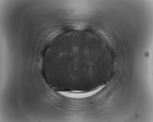 X0000099310325200805161419