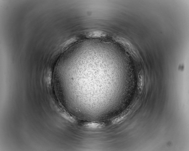 X0000099310326200805161419