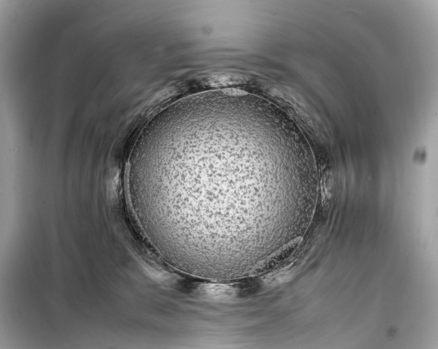 X0000099310327200805161419