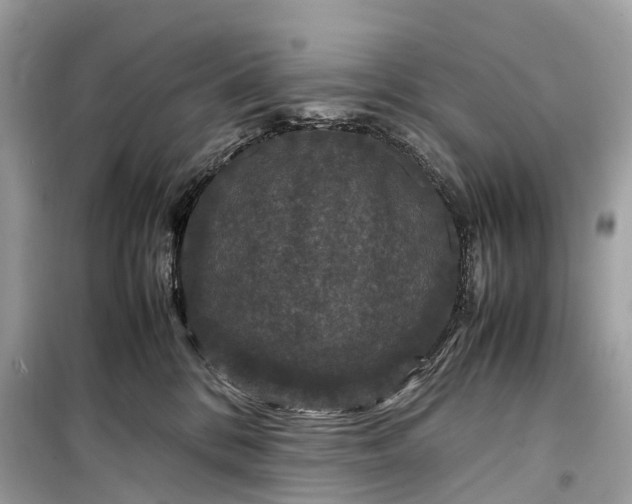 X0000099310328200805161419