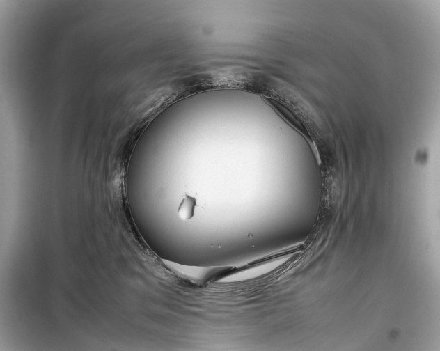 X0000099310329200805161419