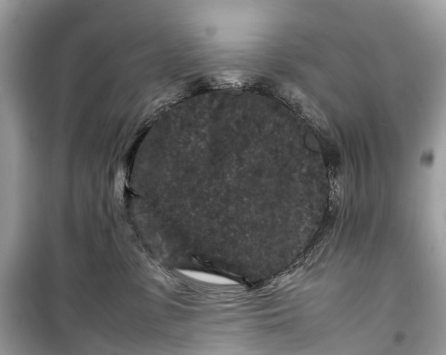 X0000099310331200805161419