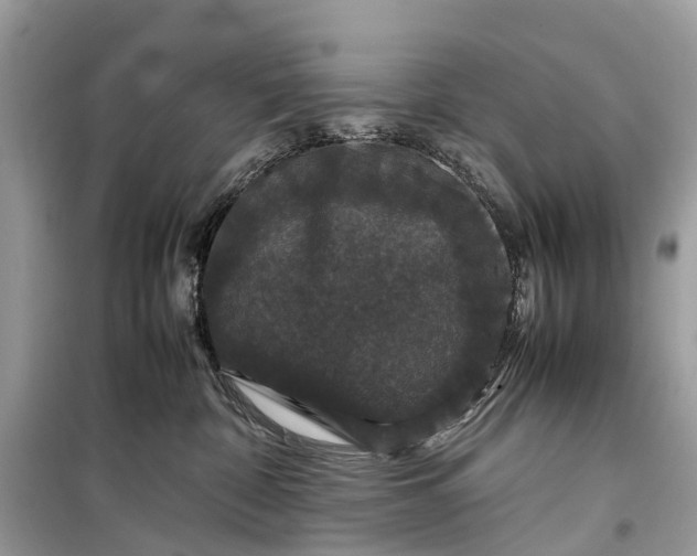 X0000099310332200805161419