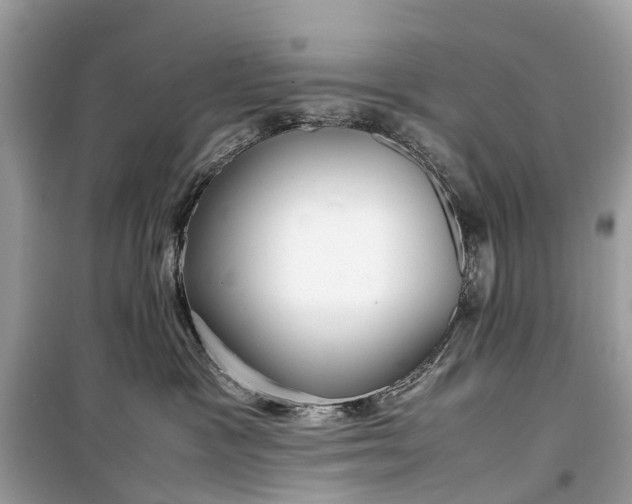 X0000099310333200805161419