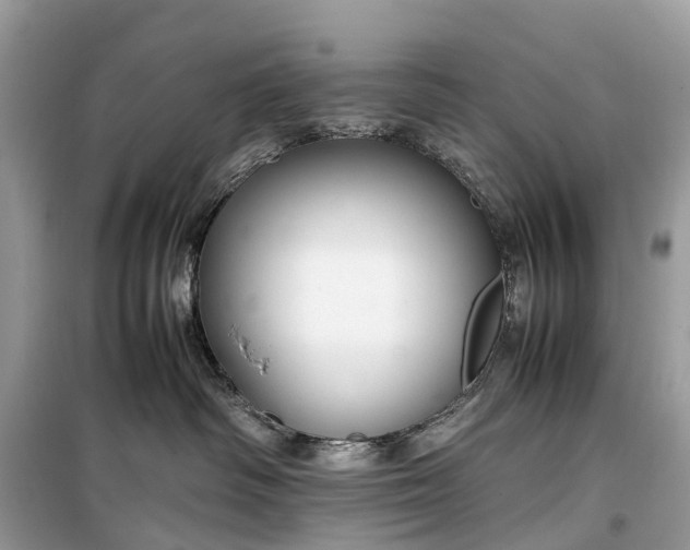 X0000099310334200805161419