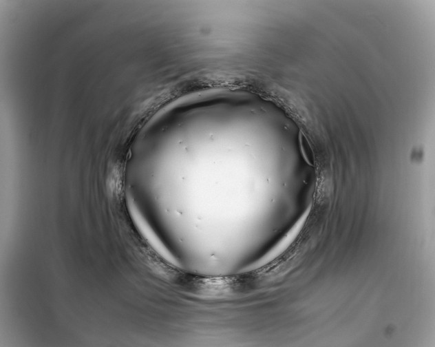 X0000099310335200805161419