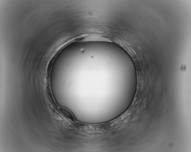 X0000099310338200805161418