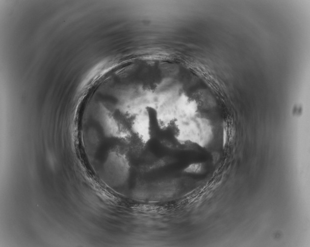 X0000099310339200805161418