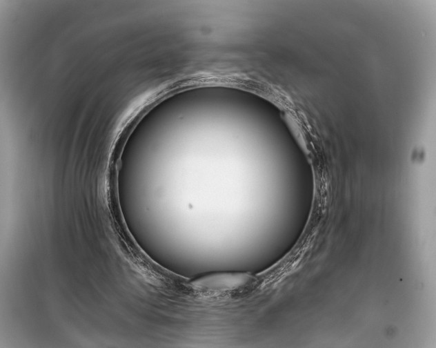 X0000099310340200805161418