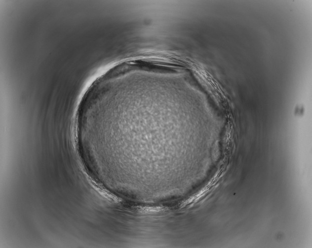 X0000099310342200805161418