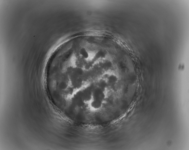 X0000099310343200805161418