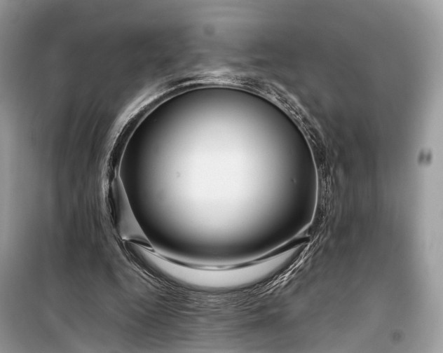 X0000099310344200805161418