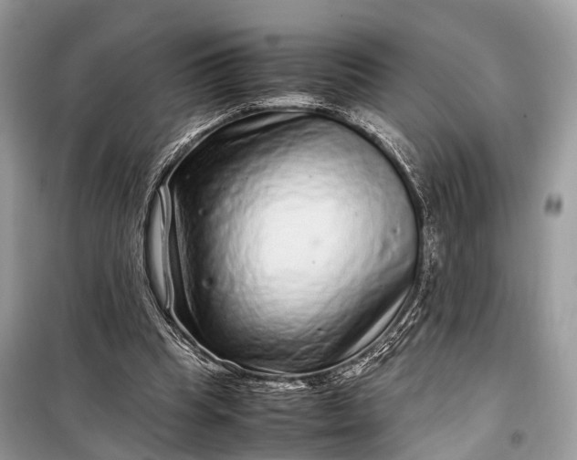 X0000099310345200805161418