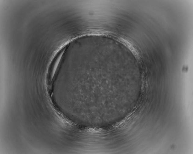 X0000099310346200805161418