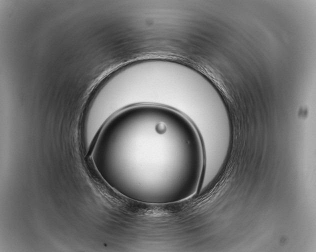 X0000099310348200805161418