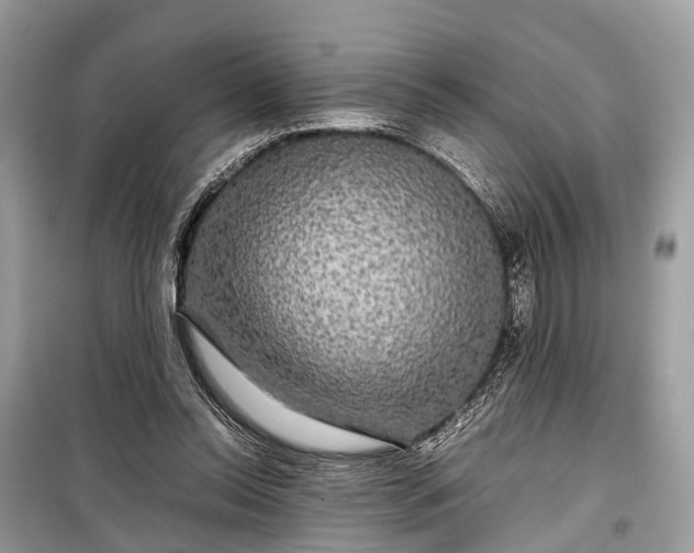 X0000099310350200805161418