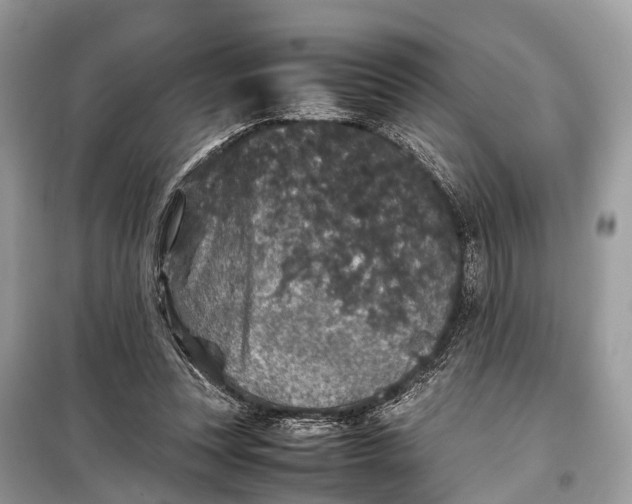 X0000099310351200805161418