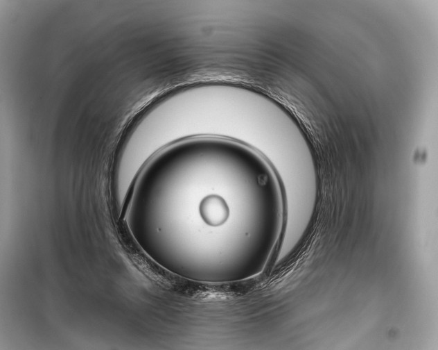 X0000099310352200805161418