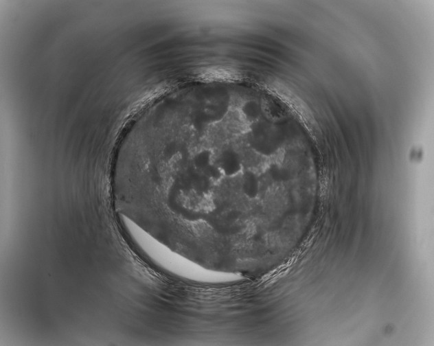 X0000099310353200805161418