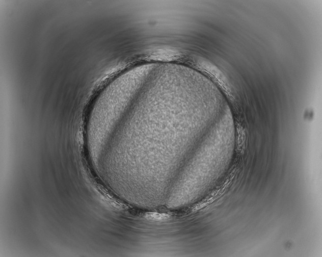 X0000099310354200805161418