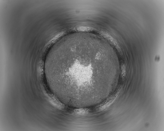 X0000099310356200805161418