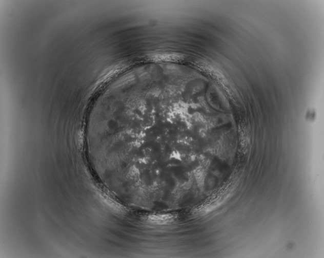 X0000099310357200805161418