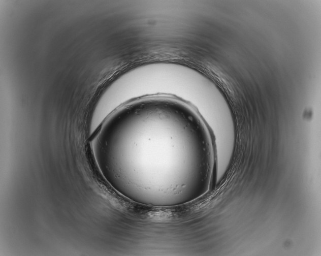 X0000099310362200805161418