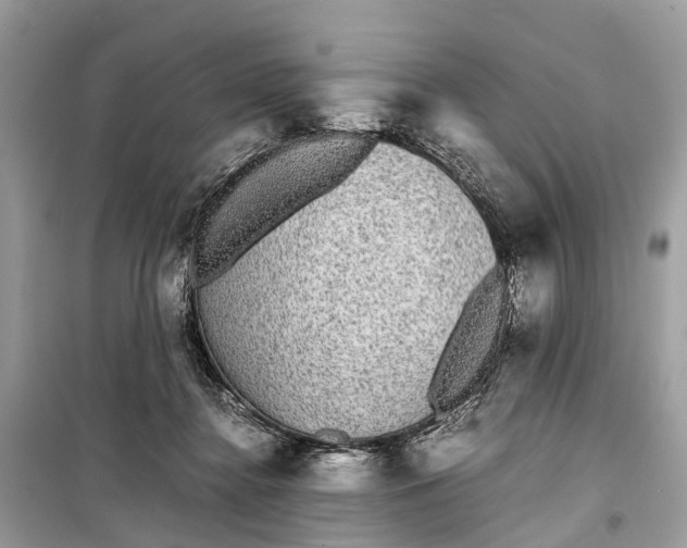 X0000099310364200805161418