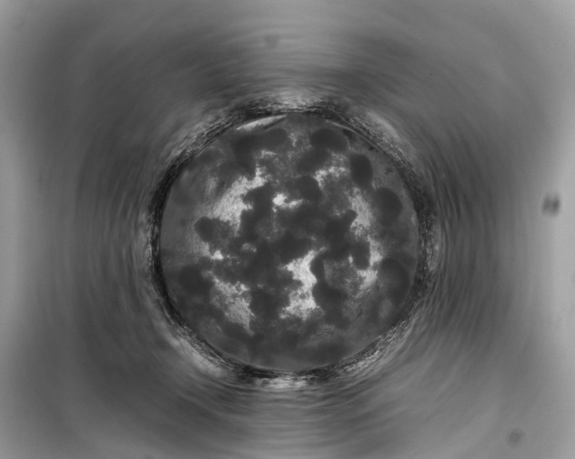 X0000099310366200805161418