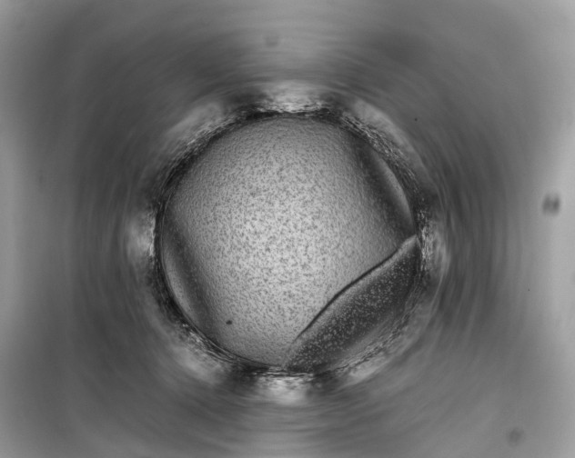 X0000099310368200805161418