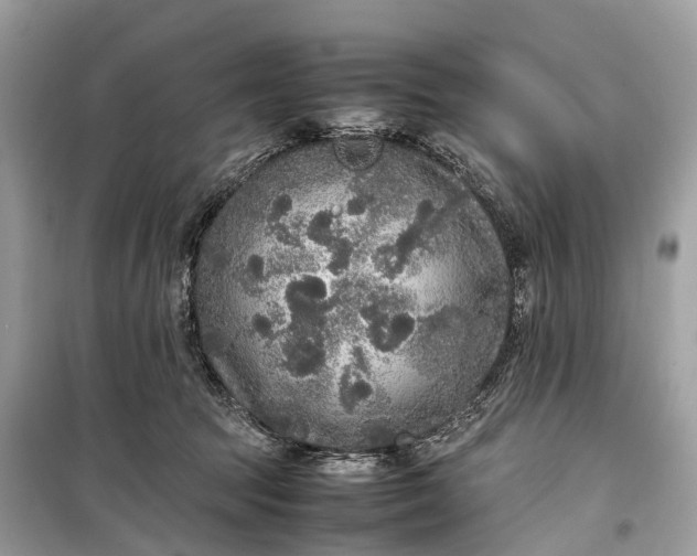 X0000099310369200805161418