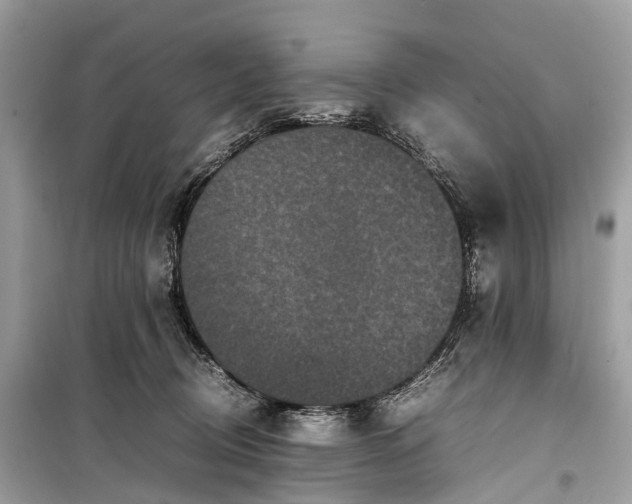 X0000099310370200805161418