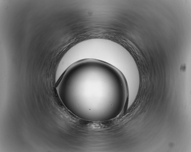 X0000099310372200805161418