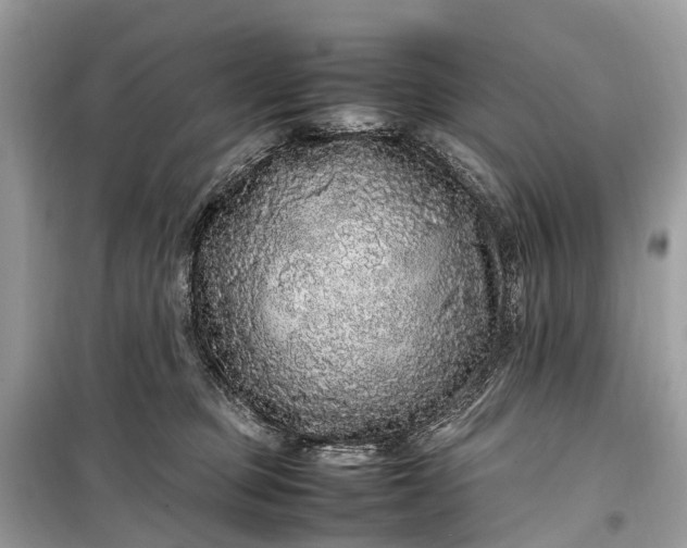 X0000099310373200805161419