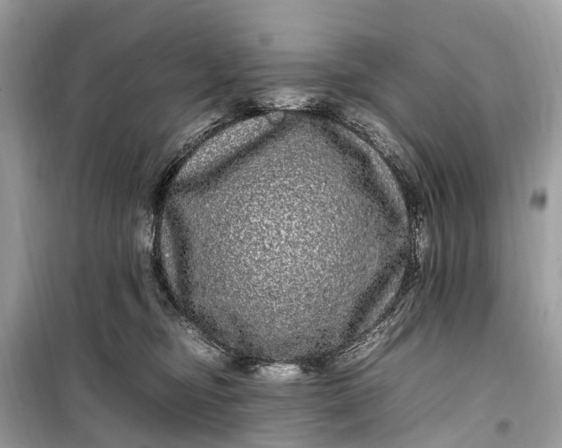 X0000099310374200805161419