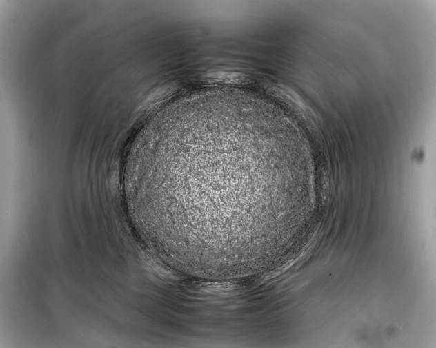 X0000099310377200805161419