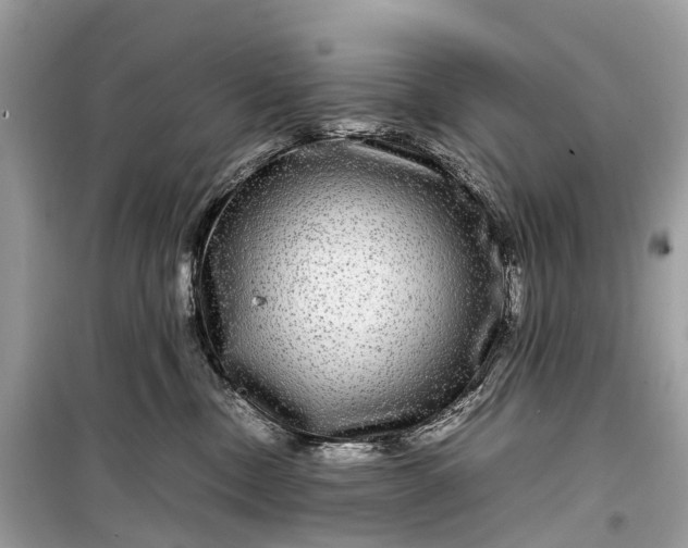 X0000099310378200805161419