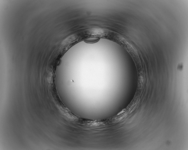 X0000099310379200805161419